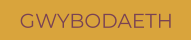 GWYBODAETH