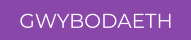 GWYBODAETH