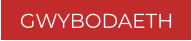 GWYBODAETH