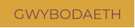 GWYBODAETH
