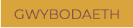 GWYBODAETH