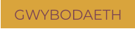GWYBODAETH